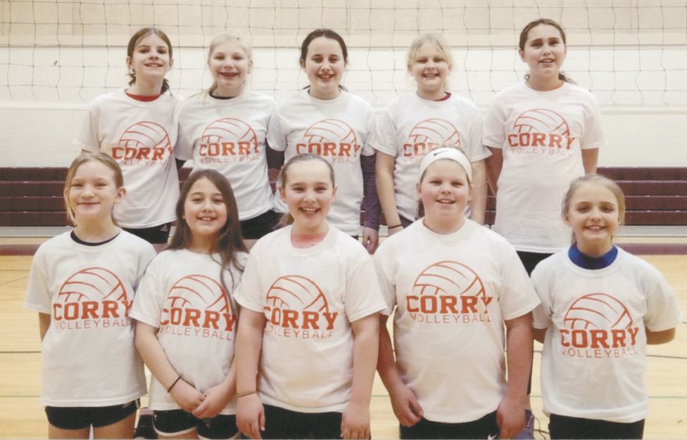 Rec volleyball